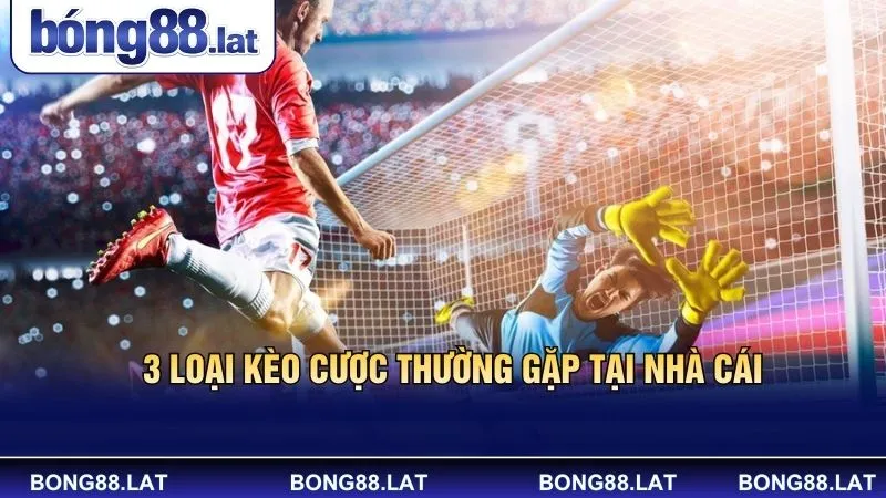 3 loại kèo cược thường gặp tại nhà cái