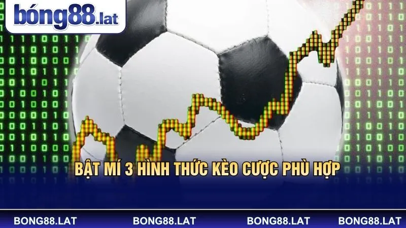 Bật mí 3 hình thức kèo cược phù hợp