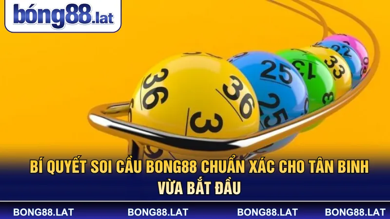 Bí quyết soi cầu Bong88 chuẩn xác cho tân binh vừa bắt đầu