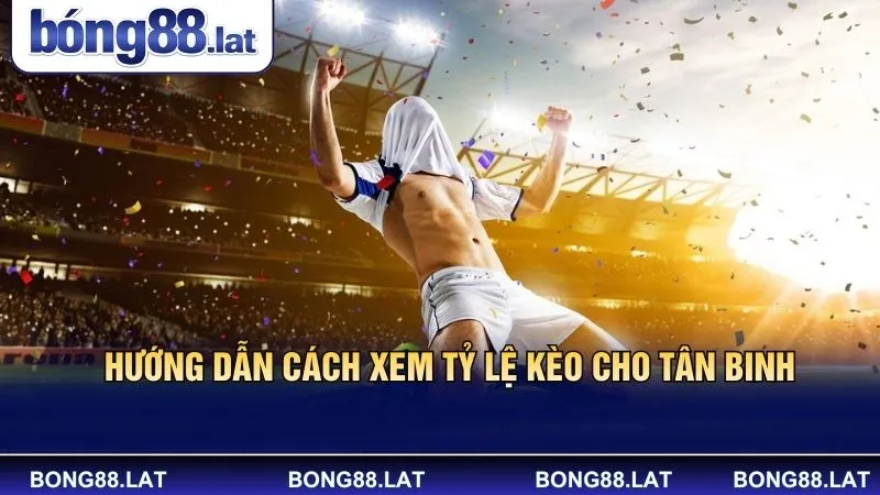 Hướng dẫn cách xem tỷ lệ kèo cho tân binh