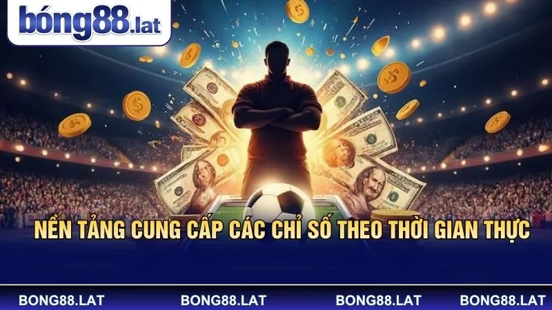 Nền tảng cung cấp các chỉ số theo thời gian thực