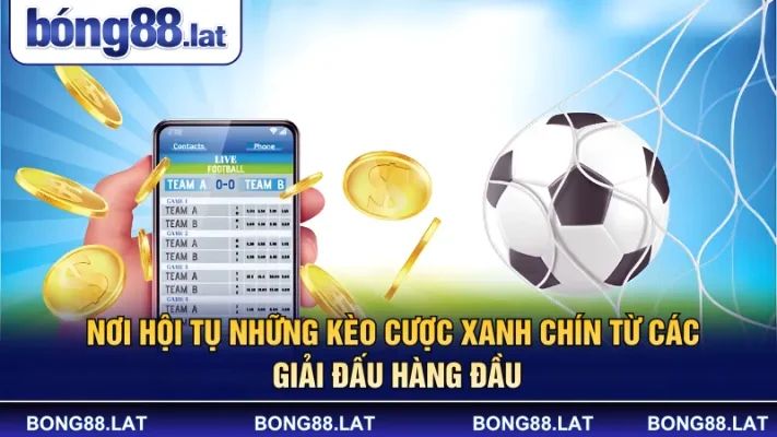 Nơi hội tụ những kèo cược xanh chín từ các giải đấu hàng đầu